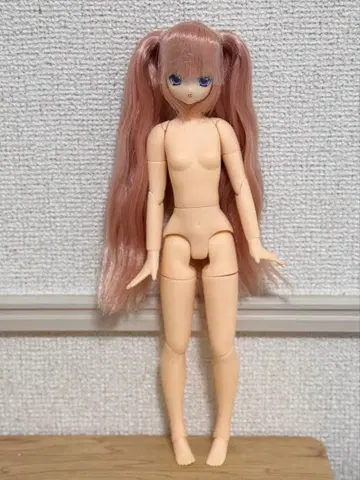 아존 금붕어 공주 리세 LYCEE 본체만