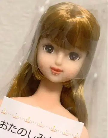 리카짱 캐슬 오타노시미 인형 나오미