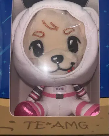 이와타 타카노리 록키