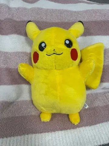 꽉 안아줘 말하는 피카츄