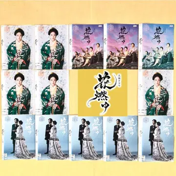 NHK 대하드라마 꽃타오르다 완전판 전 13권 DVD 렌탈용