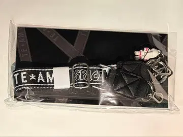 이와타 타카노리 숄더 스트랩