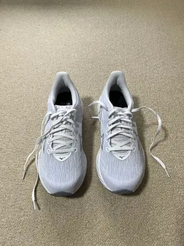 미즈노 웨이브 라이더 28 24.5cm