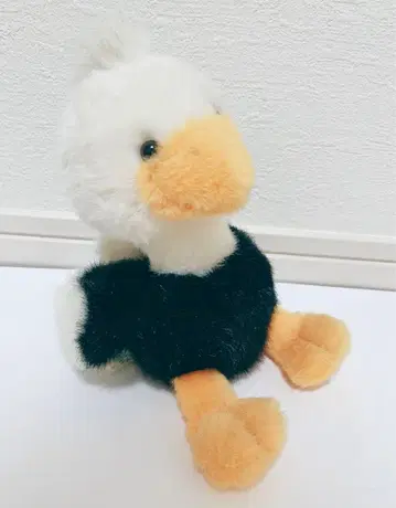 조이풀 메이트 타조