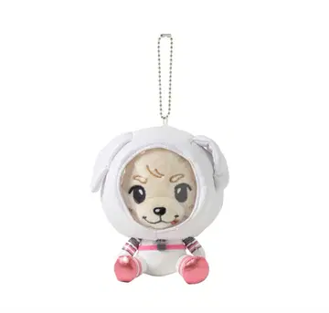 이와타 타카노리 록키