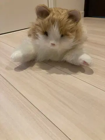 고양이형 봉제 인형 브라운과 화이트