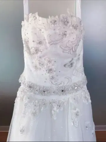 웨딩 드레스 프린세스 트레인 세트