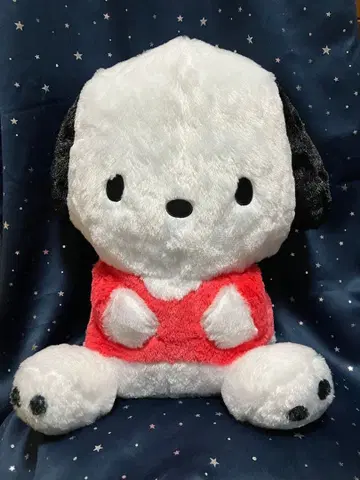 포차코 초초 BIG 봉제 인형 폭신폭신 스탠다드 산리오