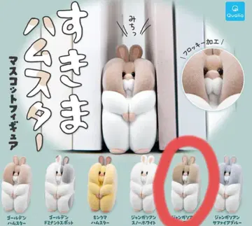 인기 스키마 햄스터 마스코트 피규어 정글리안 노멀