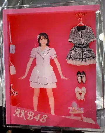 하시모토 에리코 AKB48 다이마루 의상전 인형 박스
