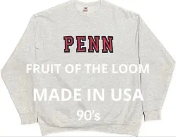 90s USA제 프룻 오브 더 룸 XL PENN 칼리지 로고