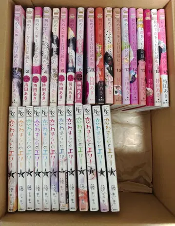 처음 사랑을 한 날에 읽는 이야기 1~18권 / 사랑앓이 엘리 전권