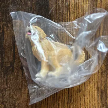 굼벵이~누 2 골든 리트리버 퍼그 비숑 프리제 치와와 (크림)