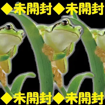 1체 1권 일본 청개구리 네이처 테크니컬러 일본의 개구리 기담