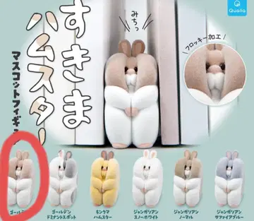 틈새 햄스터 골든햄스터