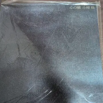 마음의 거처 오구라 케이 미개봉