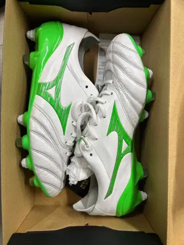 모렐리아 네오 4 MIX 25cm 미즈노