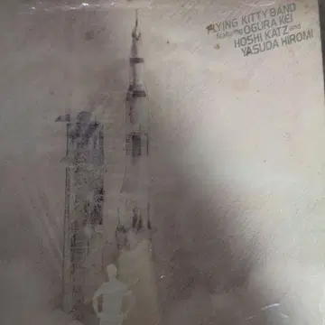 FLYING KITTY BAND LP 레코드