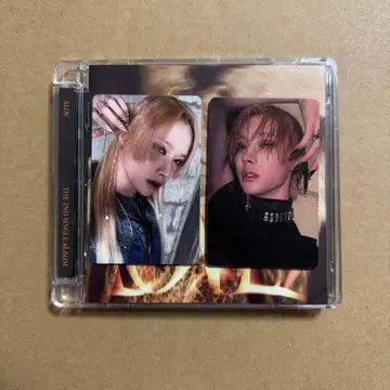 xlov 앨범 루이 봉입 트레이딩 카드 세트