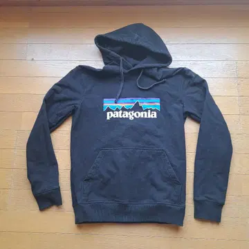파타고니아 후드티