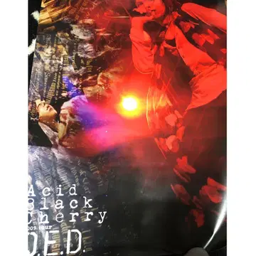 Acid Black Cherry 2009 TOUR Q.E.D. 포스터