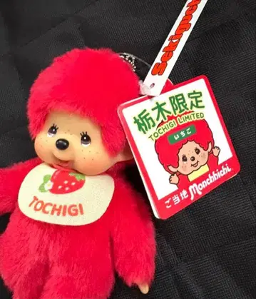 도치기 한정 몽치치 딸기 봉제 인형 체인 키링 핑크