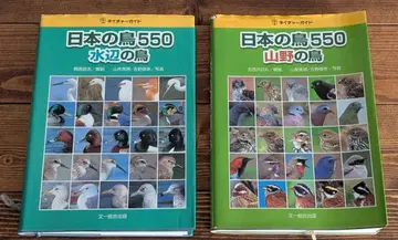 일본의 새 550 물가의 새 산과 들의 새 두 권 세트