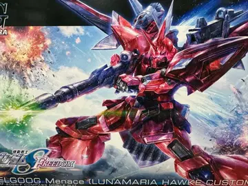 HG 자쿠 II (루나마리아 호크 커스텀)