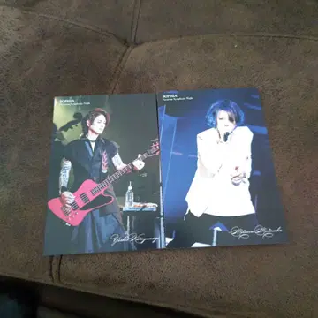 SOPHIA 엽서 2장 세트