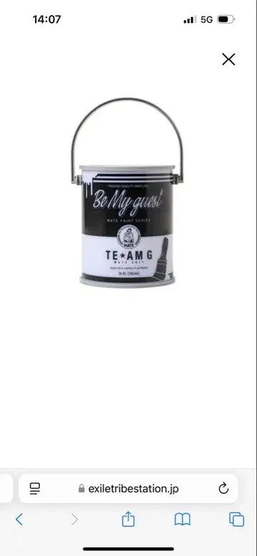 이와타 타카노리 라이트 스틱 케이스