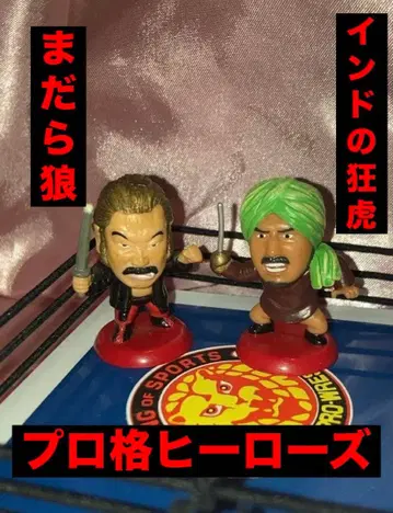 프로격 히어로즈 인도 의 광호 얼룩무늬 늑대