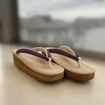 캐타비로사 타비 조리 베이지와 보라색