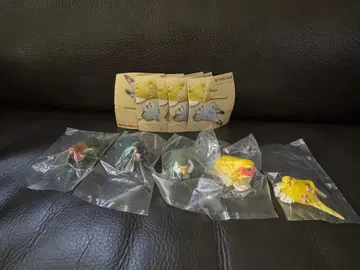 새의 휴일 편안한 잉꼬 3종 세트