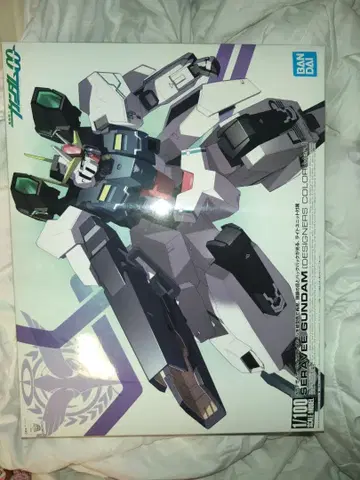 1/100 세라비 건담 디자이너 컬러