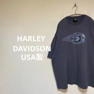 HARLEY DAVIDSON USA T셔츠 그레이 파이어 패턴