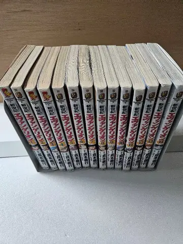 에반게리온 1-14권 전권