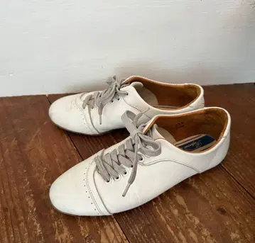 쇼세 화이트 레이스업