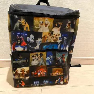 [새상품] 디즈니 원 맨즈 드림 럭색 카메라백 올 패턴