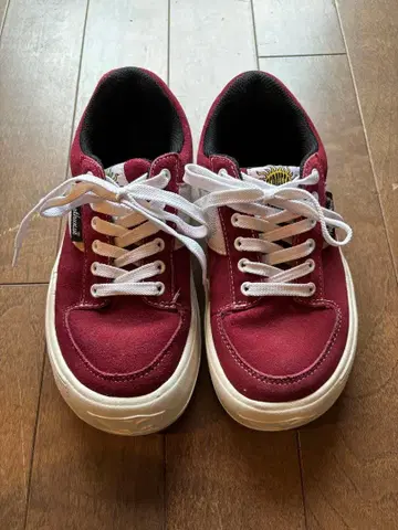 노스웨이브 에스프레소 버건디 스웨이드 로우컷 스니커즈