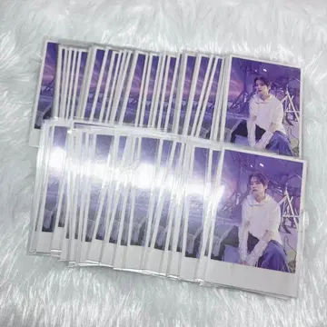 리노 트레이딩 카드 포라