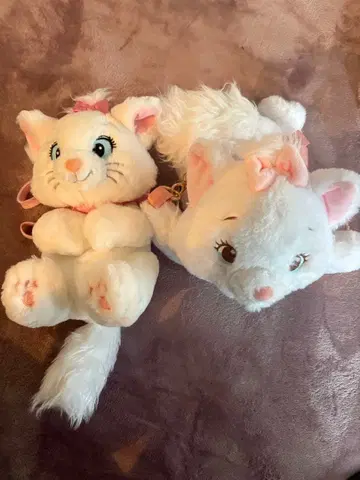 마리 미니백 세트