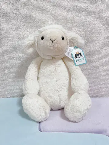 JELLYCAT bashful lumb 양 봉제 인형 M 사이즈