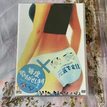 미개봉 마이도 오사와가세 시마스 II DVD (8매 세트)