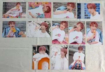 타키자와 료 49692 란브로 컴프세트