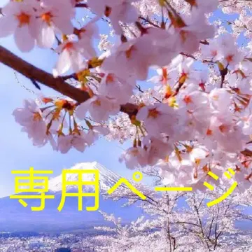 JIN-- 완결편 DVD-BOX (7매)