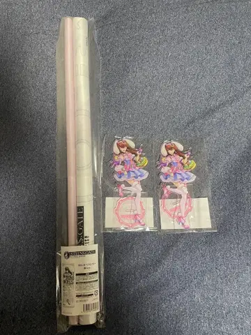 슈타인즈 게이트 STEINS;GATE 진심 복권 S.C상 세트