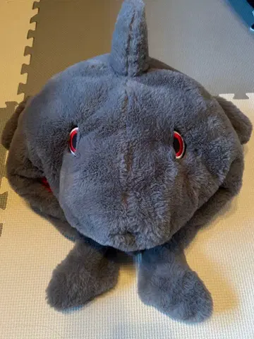 USJ 그레이 봉제 인형