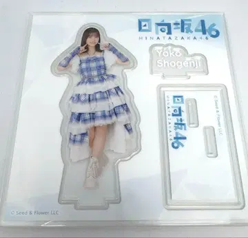 쇼겐지 요코 아크릴 스탠드 로손