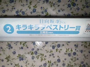 히나타자카46 5기 태피스트리