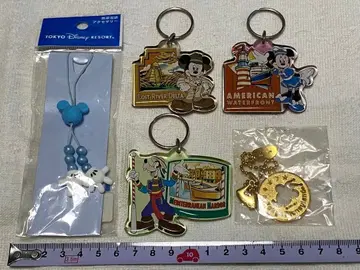 미키 미니 구피 아크릴 키링 외 TDL 굿즈 (5개)